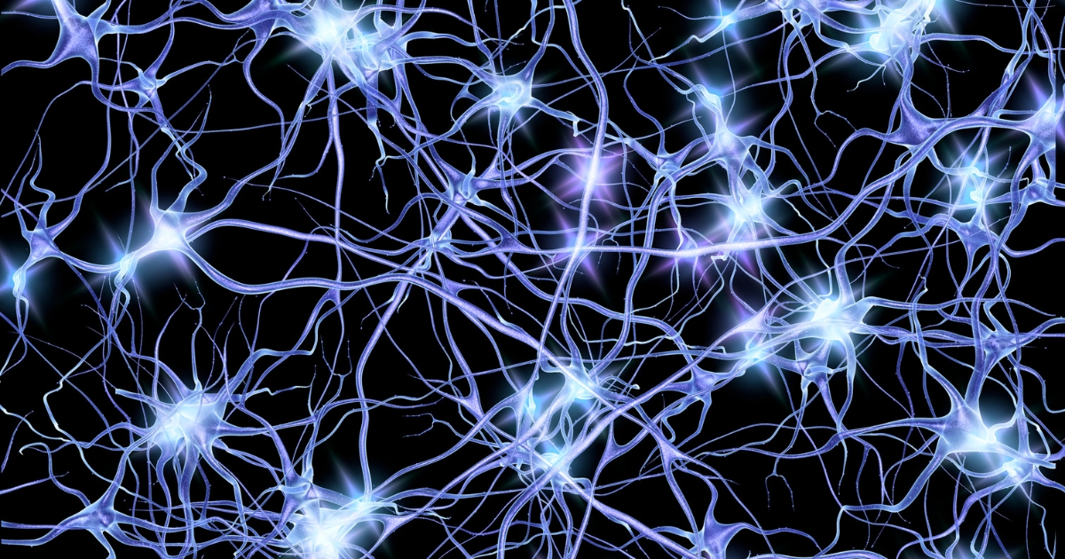 how do neurons communicate — supporting image 1